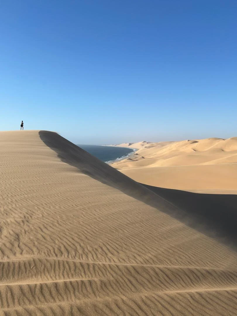 A person standing on a dune crest above the coastal landscape